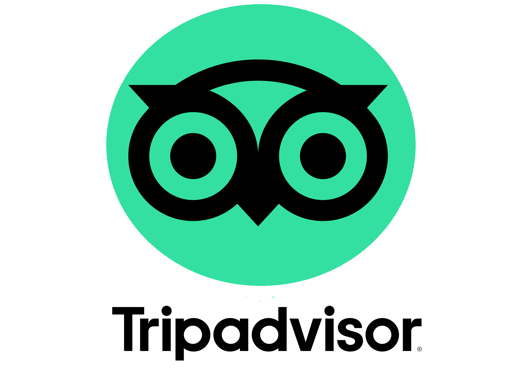 TripAdvisor Logo